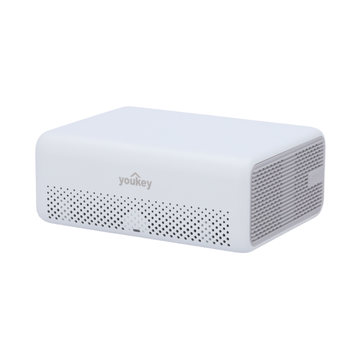 YOUKEY YOK-H310 viedās mājas centrmezgls / vārteja
