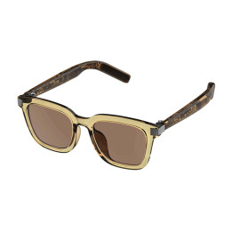 Viedbrilles COLMI G06 (brūnas)