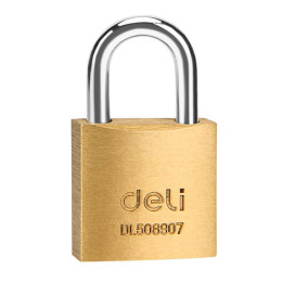 Deli Tools žalvarinė pakabinama spyna EDL508907
