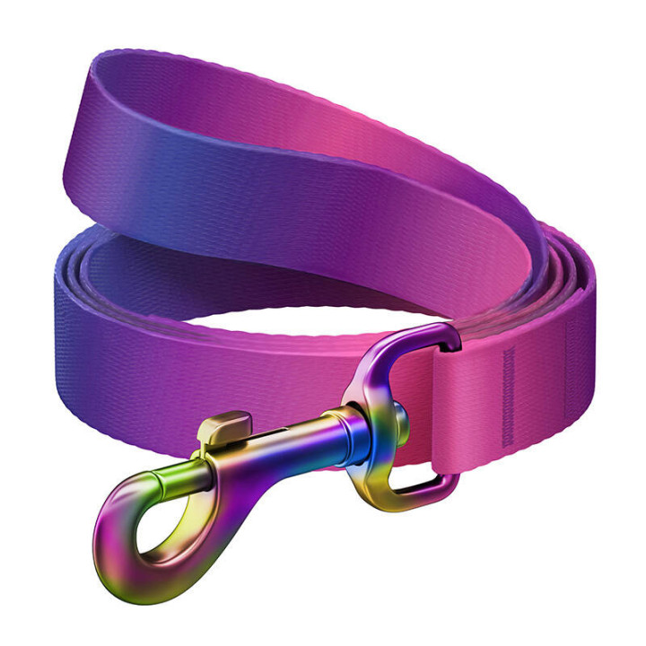 WAUDOG Gradient Nylon Dog Leash 20mm x 122cm Purple 46619
