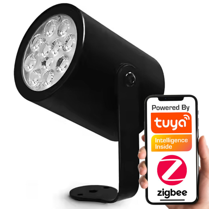 Lauko lempa RGBCCT IP66 230V ZigBee HUE TUYA