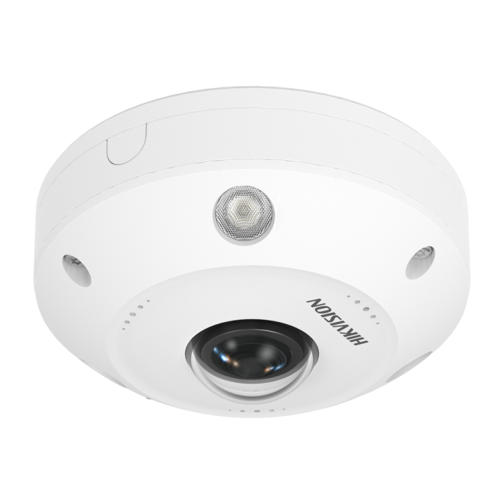 DS-2XM6365G1-IVM/ND (1,09 mm)
