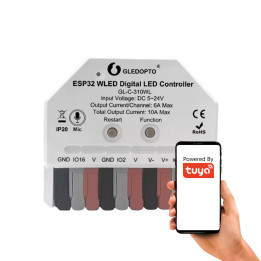 Mikrofoniga MINI ESP32 kontroller RGBIC WIFI WLED digitaalsete LED-ribade jaoks
