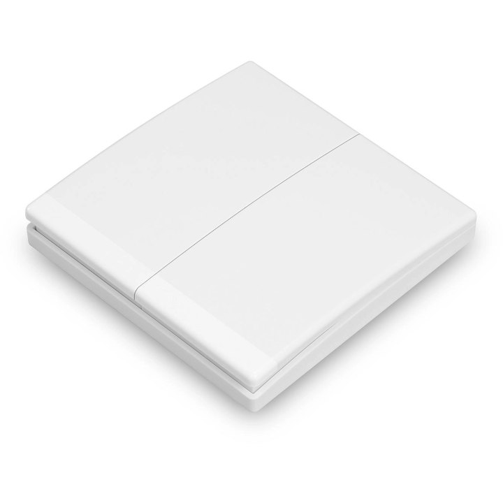 Proxima S2 FL wall remote control (NICE FLOR)