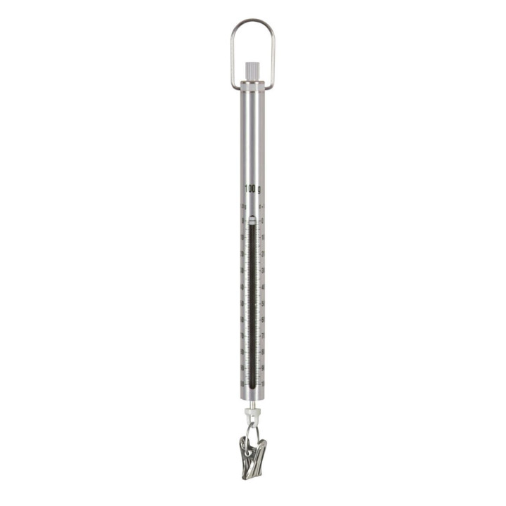SAUTER spring balance 281-301