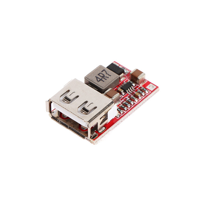 INVERTERIO MODULIS SU USB LIZDU PZD-USB/12-5V DC/DC