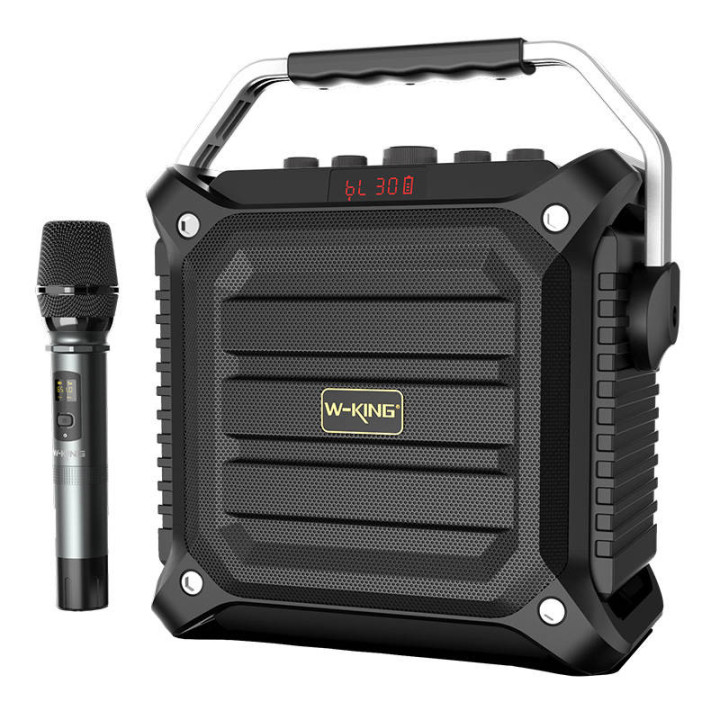 Langaton Bluetooth-kaiutin W-KING K3H 100W + mikrofoni (musta)