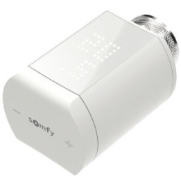 Somfy termostatinė galvutė 1870508
