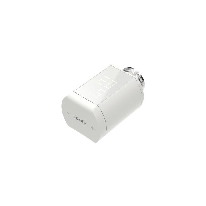 Somfy termostatinė galvutė 1870508
