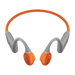 Ausinės QCY T25 (pilka + oranžinė)