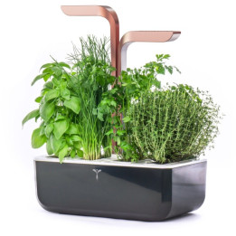 Tikrasis Doniczka Smart Black & Copper