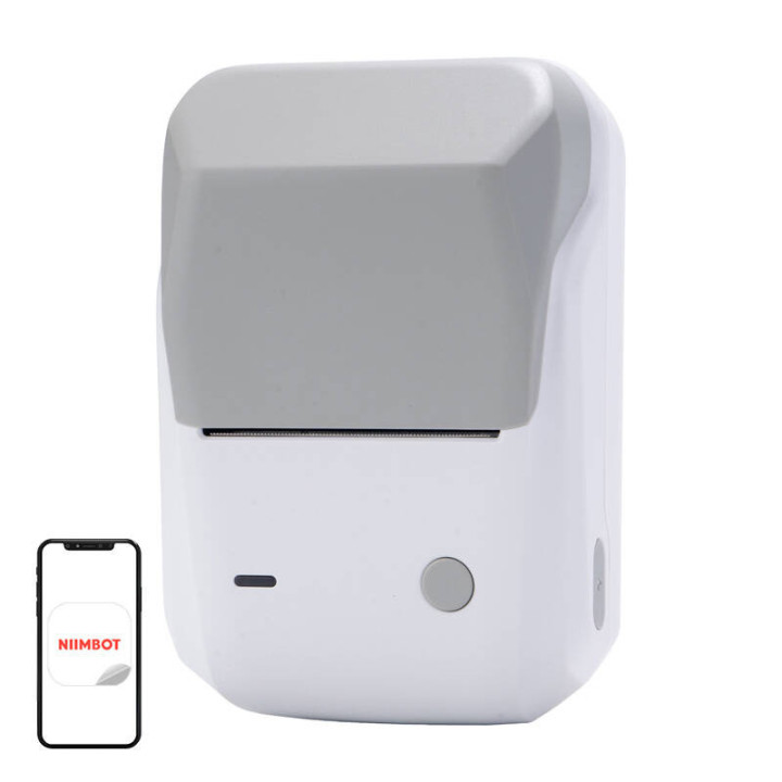 Мобильный термопринтер этикеток Niimbot B1, серый