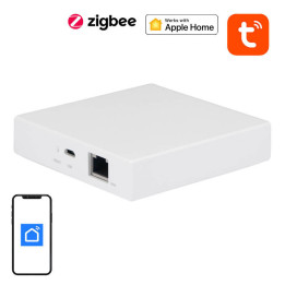 NEO NAS-ZW06WM „Smart Gateway Matter“, „ZigBee TUYA“.