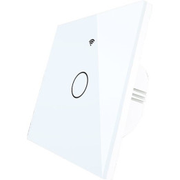 MOES WS-EU1-RF