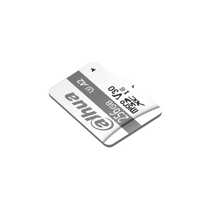 ATMIŅAS KARTE TF-P100/256GB microSD UHS-I, SDXC 256 GB DAHUA