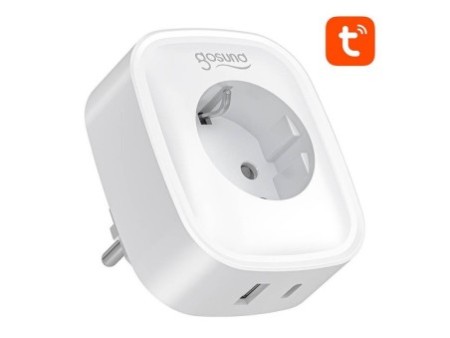 Gosund SP6 16A USB-C 20W Tuya viedā WiFi/Bluetooth ligzda