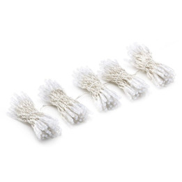 Twinkly Pro PLC -kapseli 5 tippaa x 50 pikseliä verho 250 LED AWW, PVC läpinäkyvä lanka, IP65