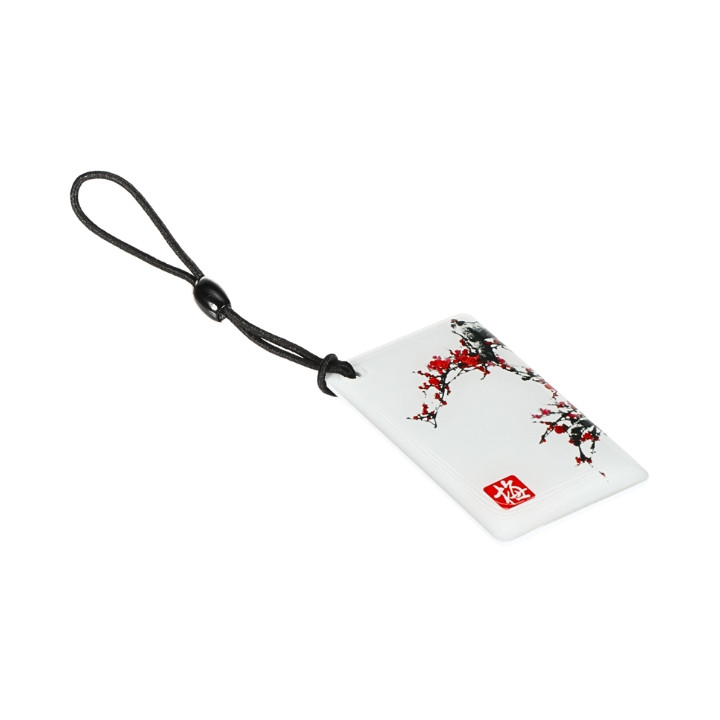 RFID RAKTŲ PAKABUKAS SU GRAFIKA ATLO-K4PIC