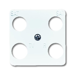 Busch-Jaeger 1743-04-214 Zentralscheibe 50 x 50 mm