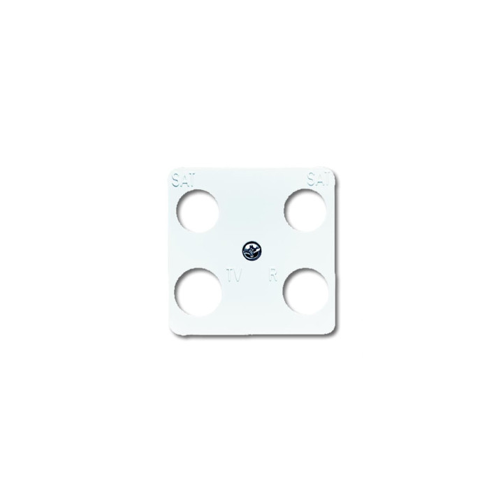 Busch-Jaeger 1743-04-214 Zentralscheibe 50 x 50 mm
