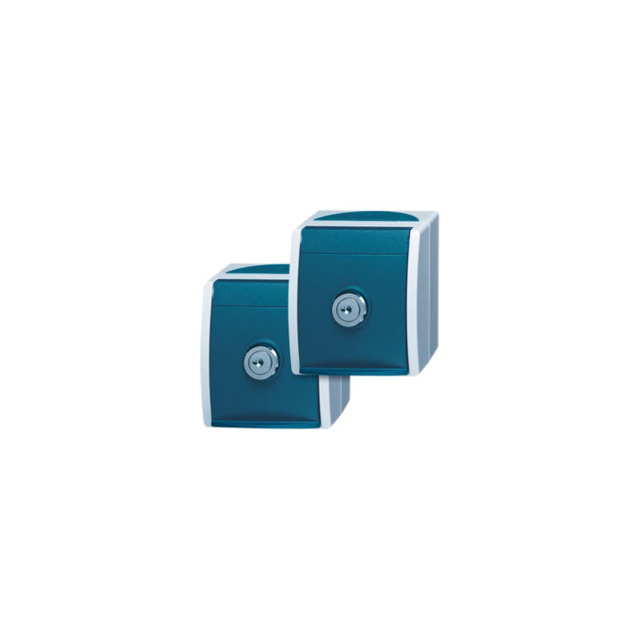 Busch-Jaeger 20/20 EWSL-53 2stk. SCHUKO® Steckdosen