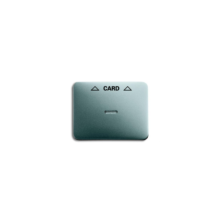 Busch-Jaeger 1792-266-101 Zentralscheibe