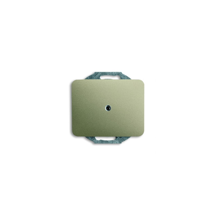 Busch-Jaeger 1742-260 Blindzentralscheibe mit Tragring