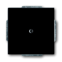 Busch-Jaeger 1742-81 Blindzentralscheibe mit Tragring