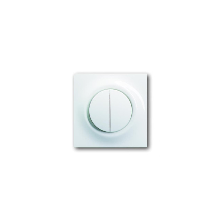 Busch-Jaeger 1785-74 Zentralscheibe mit Betätigungsknopf und Glimmlampe
