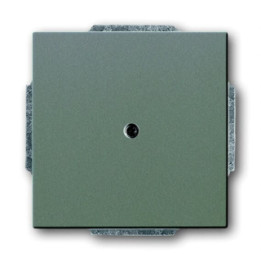 Busch-Jaeger 1749-803 Zentralscheibe mit Tragring