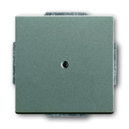 Busch-Jaeger 1742-803 Blindzentralscheibe mit Tragring