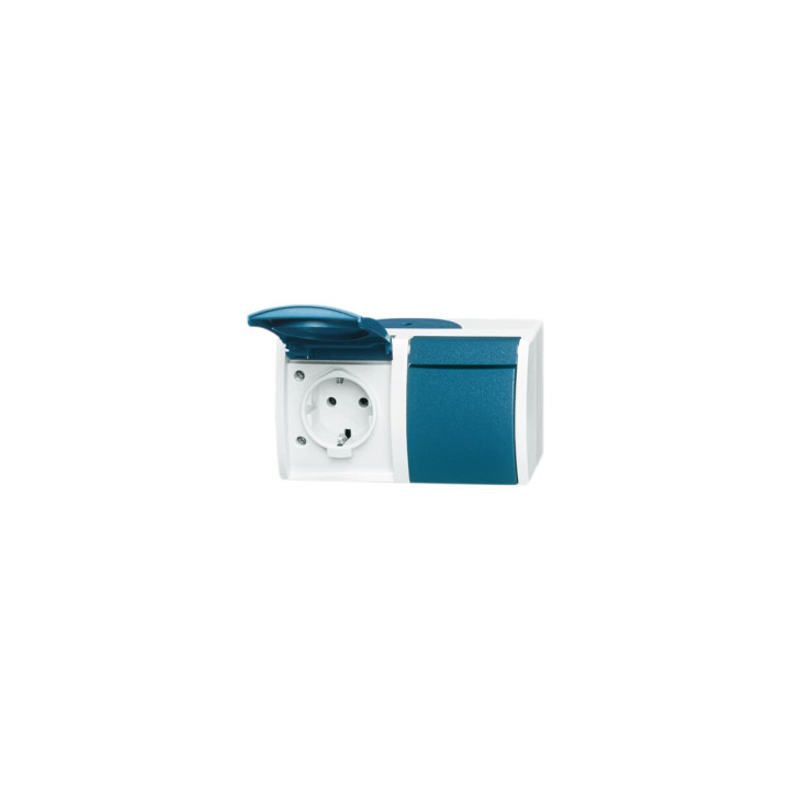 Busch-Jaeger 20/2 EW-53 SCHUKO® Steckdose 2-fach