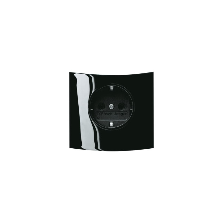 Busch-Jaeger 20 EUCKST-71 Kombinations-SCHUKO® Steckdose Busch-triton®