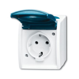 Busch-Jaeger 20 EW-53 SCHUKO® Steckdose mit Klappdeckel