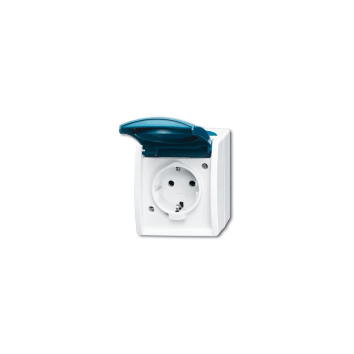 Busch-Jaeger 20 EW-53 SCHUKO® Steckdose mit Klappdeckel