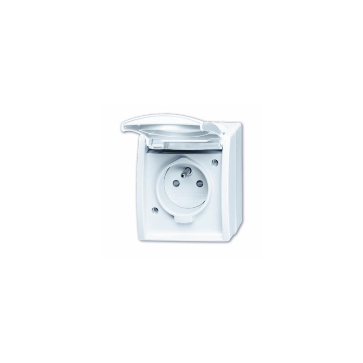 Busch-Jaeger 23 MWKS-54-504 Steckdose mit Erdungsstift