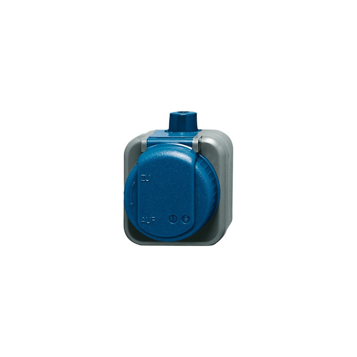 Busch-Jaeger 2300 EWDI SCHUKO® Steckdose 2-polig