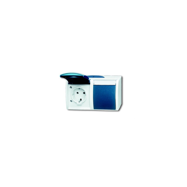 Busch-Jaeger 20/2 EWN-53 SCHUKO® Steckdose 2-fach