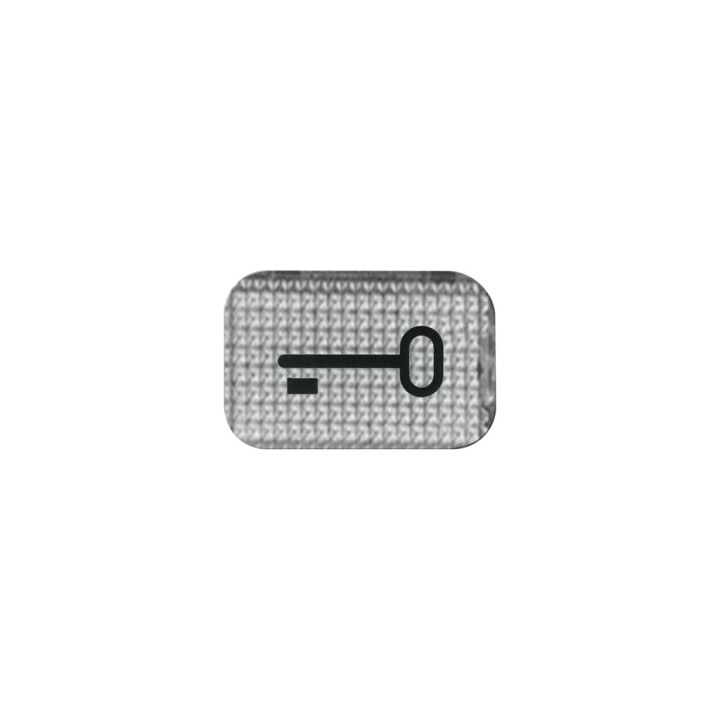 Busch-Jaeger 2145 TR Tastersymbol, transparent Schlüssel