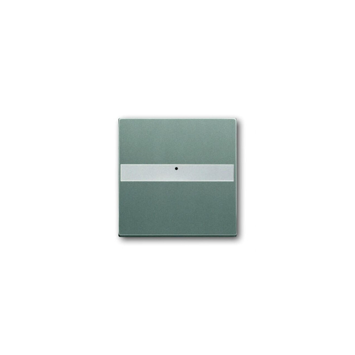 Busch-Jaeger 1764 NLI-803 Wippe mit Beschriftungsfeld