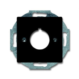 Busch-Jaeger 2533-81 Zentralscheibe mit Tragring