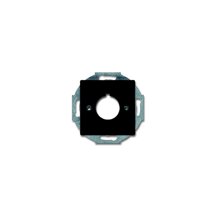 Busch-Jaeger 2533-81 Zentralscheibe mit Tragring