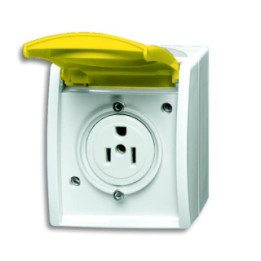 Busch-Jaeger 3015 EWN-54 Busch-Nema-Steckdose mit gelbem Klappdeckel