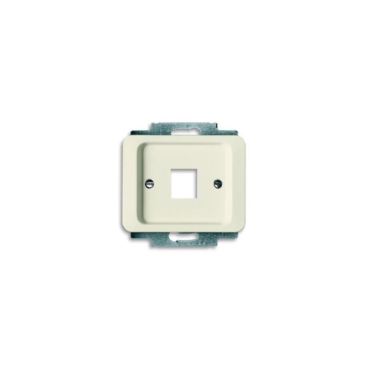 Busch-Jaeger 2561-22G Zentralscheibe mit Tragring