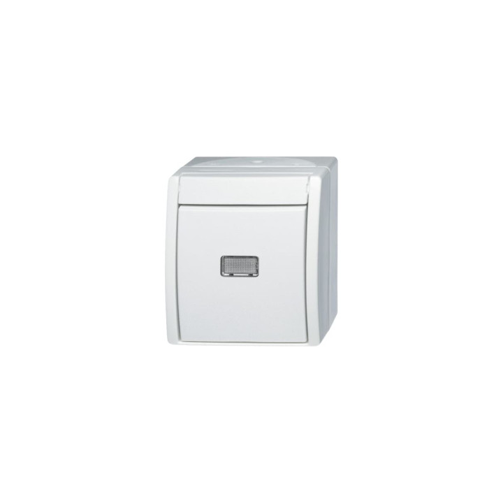 Busch-Jaeger 2621 W-54-206 Wipptaster Wechsler