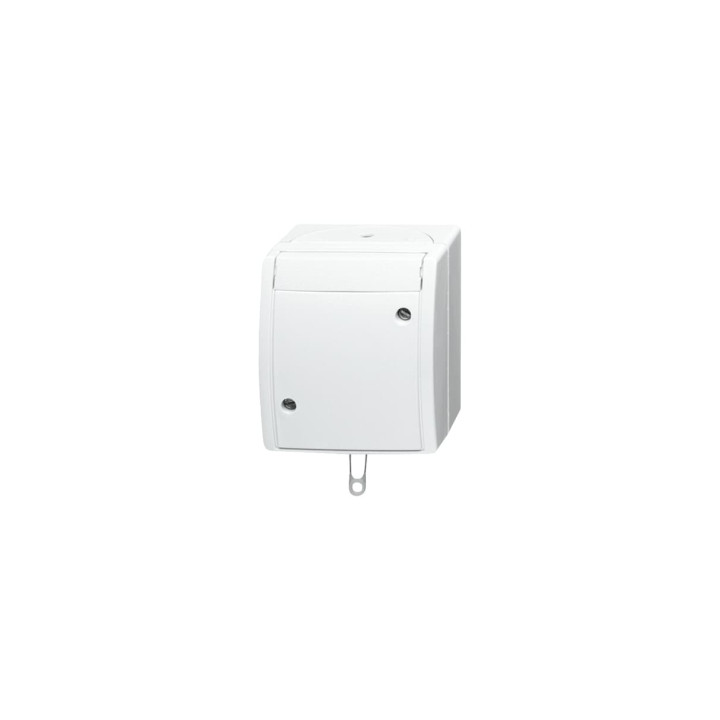 Busch-Jaeger 2610/6 W-54 Zugschalter Aus- und Wechselschaltung