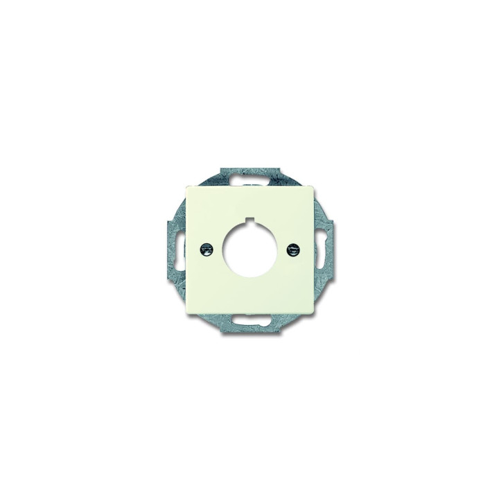 Busch-Jaeger 2533-82 Zentralscheibe mit Tragring