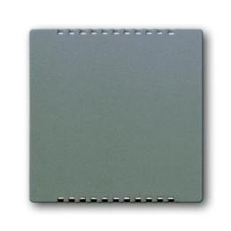 Busch-Jaeger 6541-803 Zentralscheibe für Kühlteil