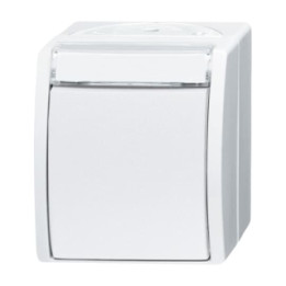 Busch-Jaeger 2601/6 WN-54 Wippschalter Aus- und Wechselschaltung