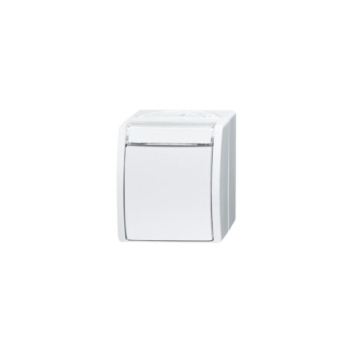 Busch-Jaeger 2601/6 WN-54 Wippschalter Aus- und Wechselschaltung